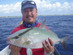 Fishing in playa del carmen (Jigging) - Almaco jack
