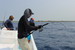 Pêche à Playa del carmen (Jigging) - Canne Jigstar 250 - Action parabolique