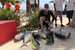 Pêche à Playa del carmen (Jigging) - Stephane Cyr 