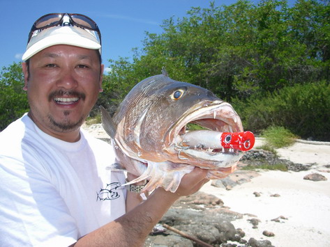 Ensenachos 2009