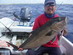 Fishing Mexico - Riviera Maya, Amberjack jigging in Playa del carmen