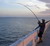 Fishing cuba, When, where, what kind of fishing gear, DIY fishing tips and tackle